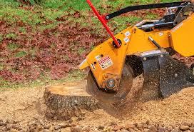 Best Hedge Trimming  in Tuscola, IL